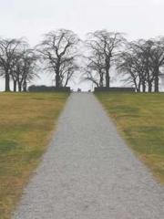 lt;Jingyuan Rong Sha