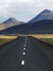 King of the Nine Pro