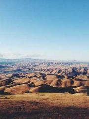 lt;lt;lt;lt;Yearning