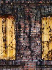 King of the Nine Pro