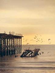 The Realm of the Dao