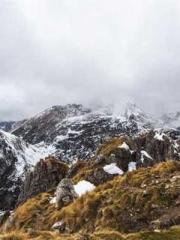 lt;Liang Yimo Cold N