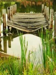 One Pregnancy, Two B