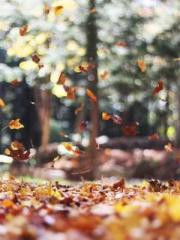 I Picked Up a Cultiv