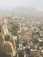 The Realm of the Dao