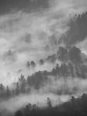 One Night Marriage P