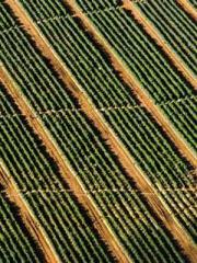 lt;lt;All in, my dec