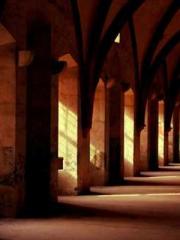 lt;Heavenly Fire Dyn