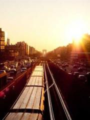 My Amazing Female Te