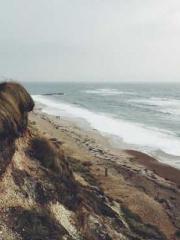 Retired War God Yang