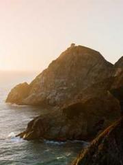 Become a big shot in