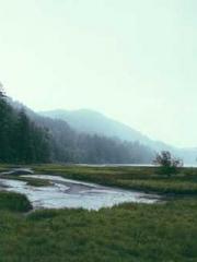 The Ugly Womanapos;s