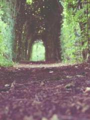 On our wedding night