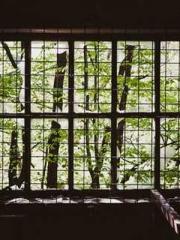 One Pregnancy, Two B