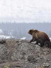 The Heavenly Eye Gho