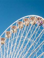 lt;lt;Know Green, Do