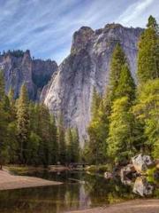 lt;Marry at first si