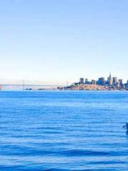 lt;lt;All in, my dec