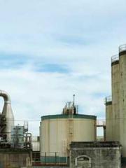 lt;Liang Yimo Cold N